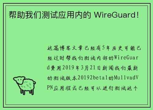 帮助我们测试应用内的 WireGuard！