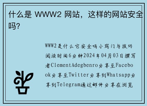 什么是 WWW2 网站，这样的网站安全吗？ 